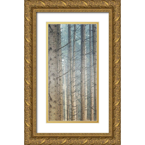 Forest Dreaming 2 Gold Ornate Wood Framed Art Print with Double Matting by Bailey, Ann