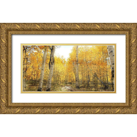 Aspen Pathway Gold Ornate Wood Framed Art Print with Double Matting by Bailey, Ann