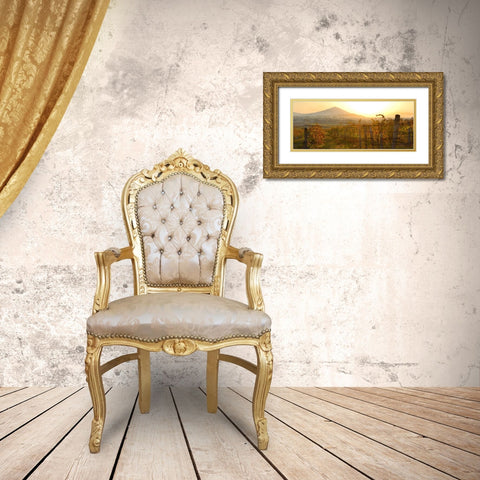Dawn Over the Vineyard Gold Ornate Wood Framed Art Print with Double Matting by Bailey, Ann