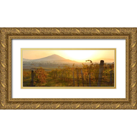 Dawn Over the Vineyard Gold Ornate Wood Framed Art Print with Double Matting by Bailey, Ann