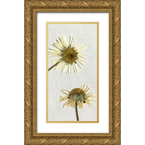 Happy 2 Gold Ornate Wood Framed Art Print with Double Matting by Bailey, Ann