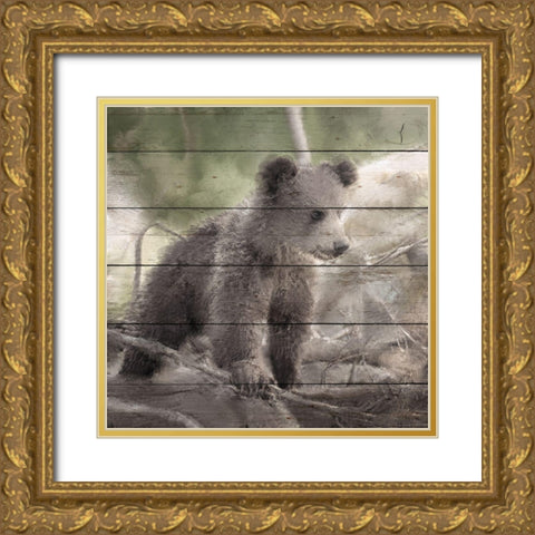 Bear Cub 1 Gold Ornate Wood Framed Art Print with Double Matting by Bailey, Ann