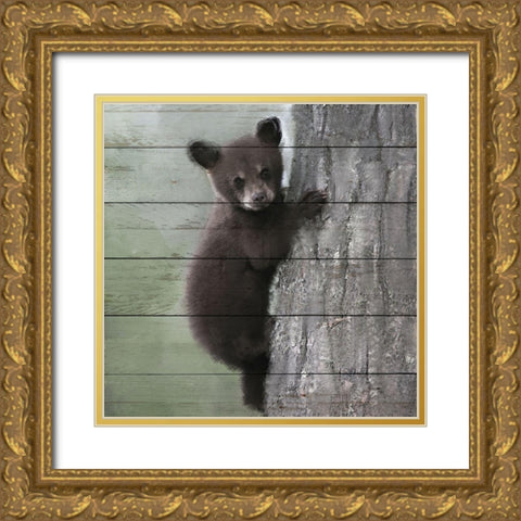 Bear Cub 2 Gold Ornate Wood Framed Art Print with Double Matting by Bailey, Ann