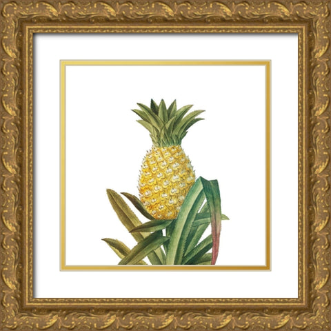 Aloha 4 Gold Ornate Wood Framed Art Print with Double Matting by Bailey, Ann
