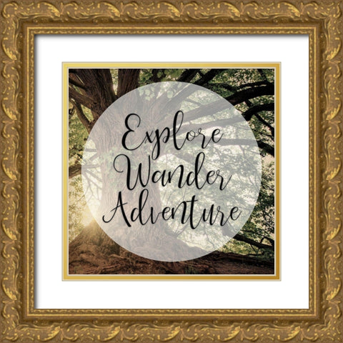 Explore Wander Adventure Gold Ornate Wood Framed Art Print with Double Matting by Bailey, Ann