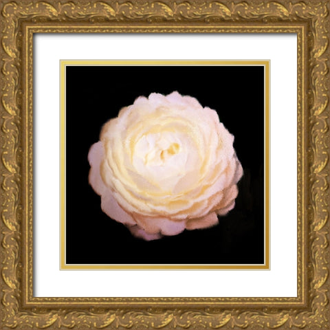 Rose Gold Gold Ornate Wood Framed Art Print with Double Matting by Bailey, Ann