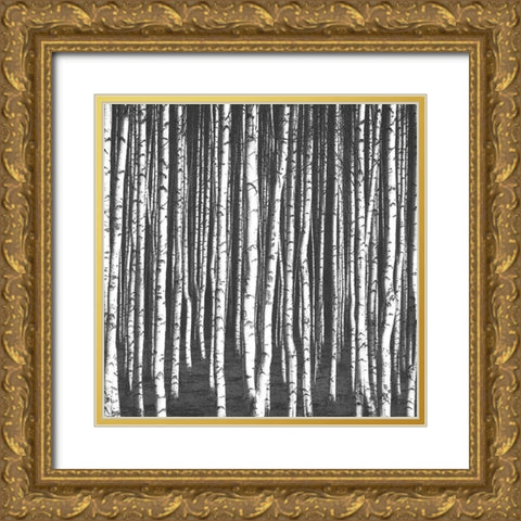 White Birches Gold Ornate Wood Framed Art Print with Double Matting by Bailey, Ann