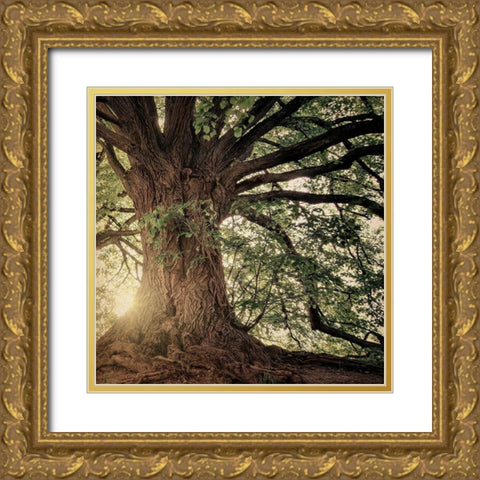 Explore Wander Adventure Gold Ornate Wood Framed Art Print with Double Matting by Bailey, Ann