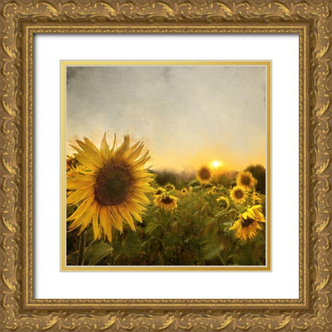 Field of Sunflowers Gold Ornate Wood Framed Art Print with Double Matting by Bailey, Ann