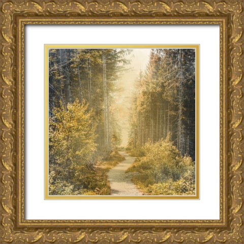 Golden Path Gold Ornate Wood Framed Art Print with Double Matting by Bailey, Ann