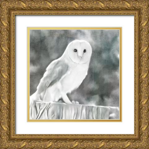 White Barn Owl Gold Ornate Wood Framed Art Print with Double Matting by Bailey, Ann