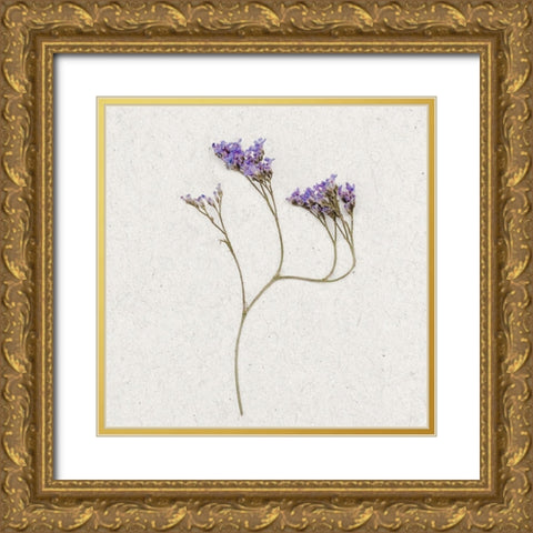 Dainty Purple 2 Gold Ornate Wood Framed Art Print with Double Matting by Bailey, Ann