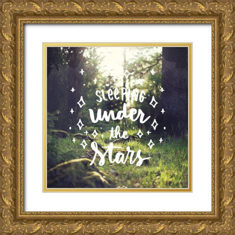 Sleeping Under the Stars Gold Ornate Wood Framed Art Print with Double Matting by Bailey, Ann
