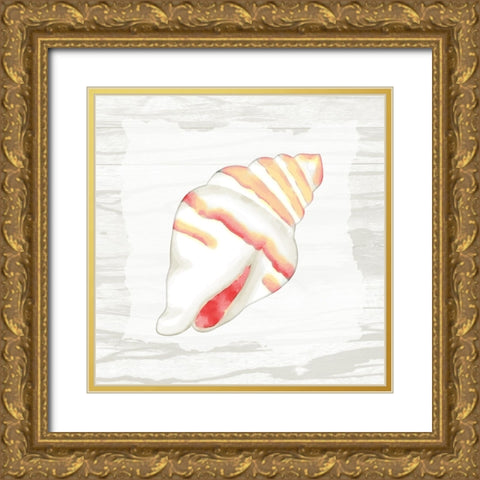 Coral Shells On Wood 2 Gold Ornate Wood Framed Art Print with Double Matting by Bailey, Ann