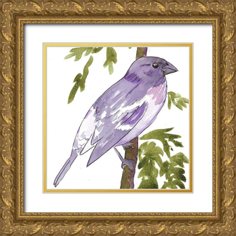 Vibrant Bird 1 Gold Ornate Wood Framed Art Print with Double Matting by Dyer, Beverly