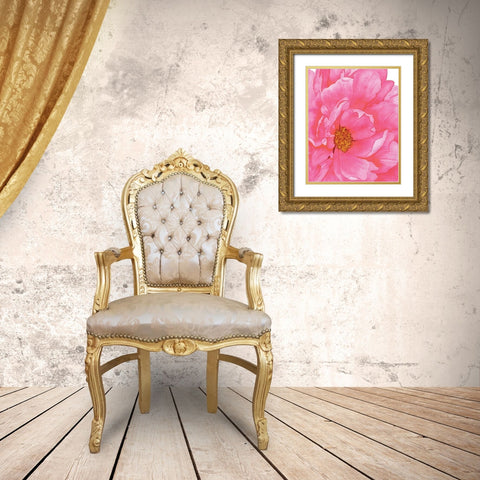 Pink Flower 2 Gold Ornate Wood Framed Art Print with Double Matting by Gosavi, Bhakti