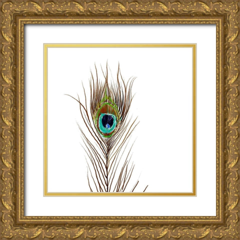 Peacock Single 2 Gold Ornate Wood Framed Art Print with Double Matting by Boho Hue Studio