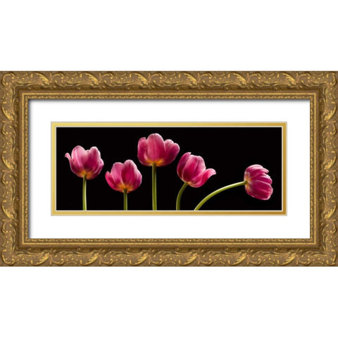 Five Tulips Gold Ornate Wood Framed Art Print with Double Matting by Seidman, Barry