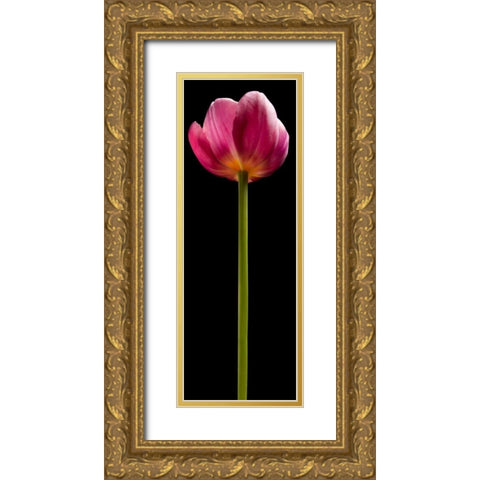 Tall Purple Tulip Gold Ornate Wood Framed Art Print with Double Matting by Seidman, Barry