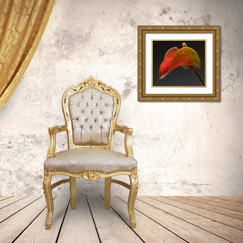 Anthurium 3 Gold Ornate Wood Framed Art Print with Double Matting by Seidman, Barry