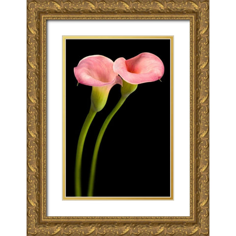 Pink Calla Lilies Gold Ornate Wood Framed Art Print with Double Matting by Seidman, Barry