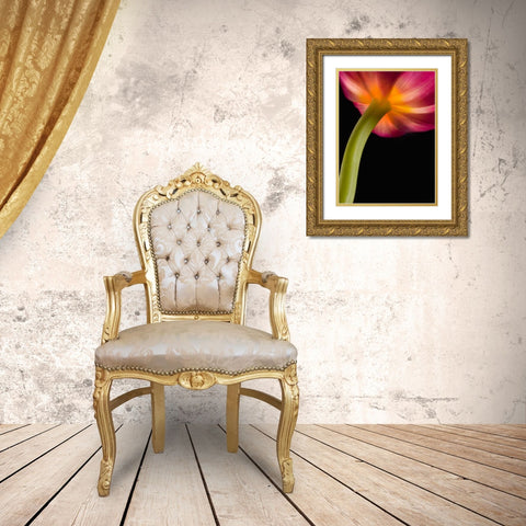 Glowing Tulip Gold Ornate Wood Framed Art Print with Double Matting by Seidman, Barry