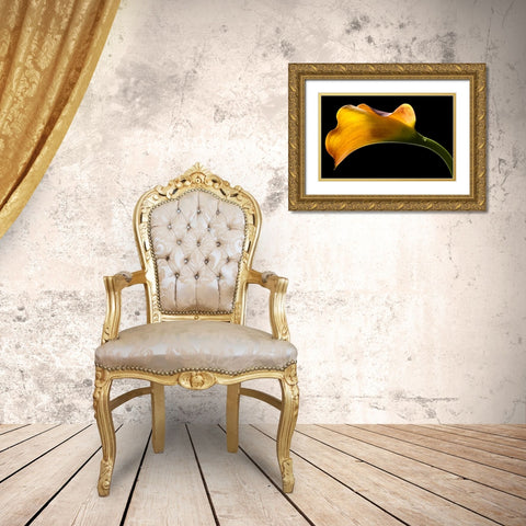 Mango Calla Lily Gold Ornate Wood Framed Art Print with Double Matting by Seidman, Barry