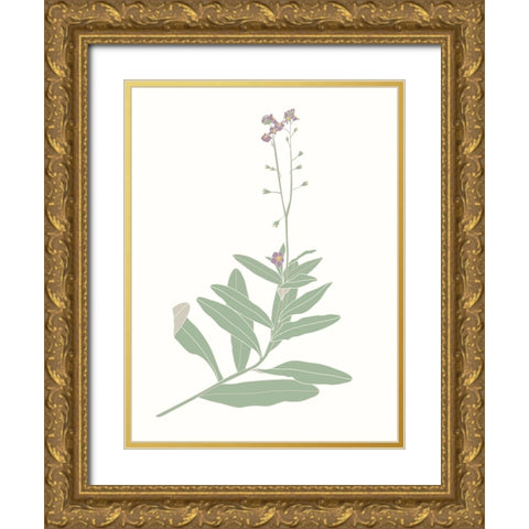 Wildflower Forget Me Nots Gold Ornate Wood Framed Art Print with Double Matting by Sweet Melody Designs