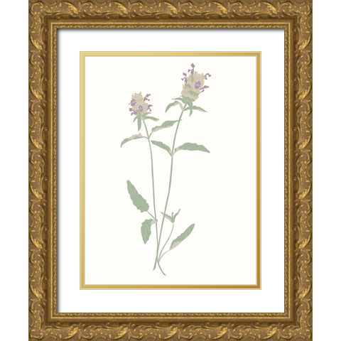 Wildflowers Heal All Gold Ornate Wood Framed Art Print with Double Matting by Sweet Melody Designs