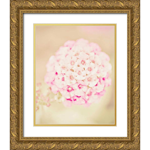 Pink Flower Ball Gold Ornate Wood Framed Art Print with Double Matting by Davis Ashley