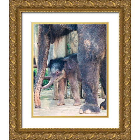Bowie and mom Gold Ornate Wood Framed Art Print with Double Matting by Davis Ashley