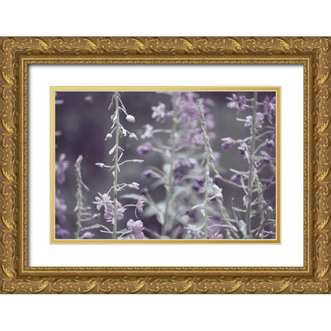 Lavender bushes Gold Ornate Wood Framed Art Print with Double Matting by Davis Ashley