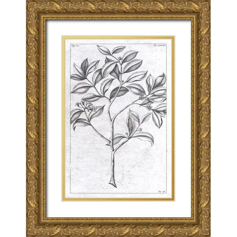 Palm 1 Gold Ornate Wood Framed Art Print with Double Matting by Brown, Denise