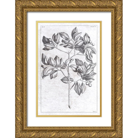 Palm 2 Gold Ornate Wood Framed Art Print with Double Matting by Brown, Denise