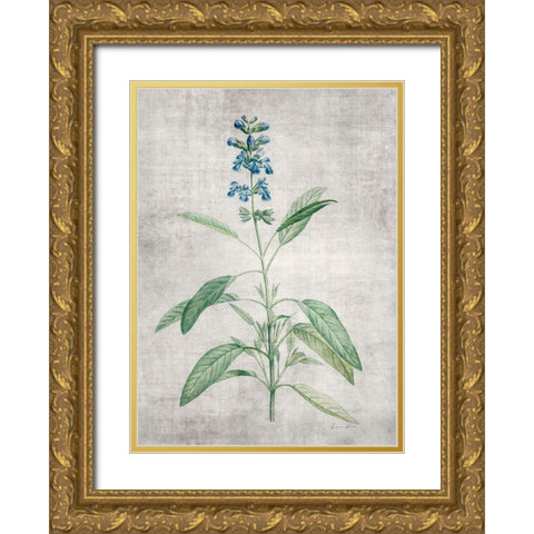 Blue Botanical 1 Gold Ornate Wood Framed Art Print with Double Matting by Brown, Denise
