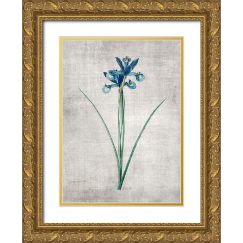 Blue Botanical 2 Gold Ornate Wood Framed Art Print with Double Matting by Brown, Denise