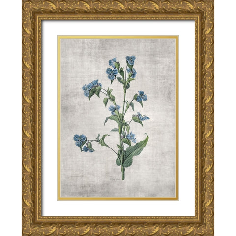 Blue Botanical 4 Gold Ornate Wood Framed Art Print with Double Matting by Brown, Denise
