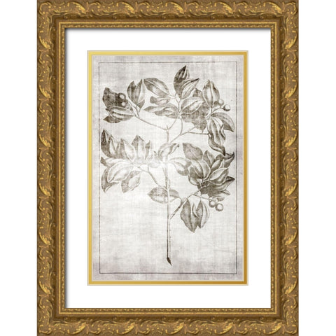 Antique Palm 2 Gold Ornate Wood Framed Art Print with Double Matting by Brown, Denise