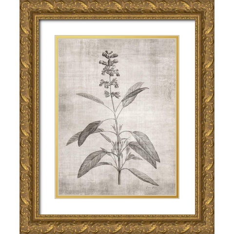 Sepia Botanical 1 Gold Ornate Wood Framed Art Print with Double Matting by Brown, Denise