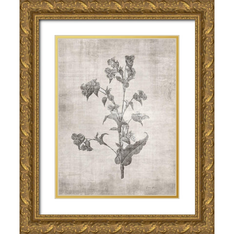 Sepia Botanical 4 Gold Ornate Wood Framed Art Print with Double Matting by Brown, Denise
