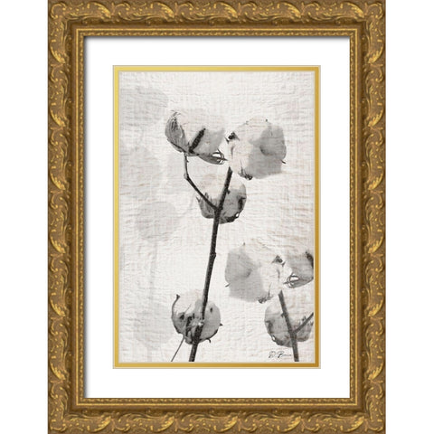 Cotton Stem 2 Gold Ornate Wood Framed Art Print with Double Matting by Brown, Denise