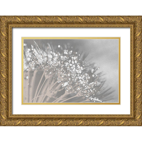 Dandelion 2 Gold Ornate Wood Framed Art Print with Double Matting by Brown, Denise