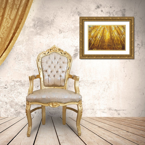 Fall Forrest Gold Ornate Wood Framed Art Print with Double Matting by Brown, Denise