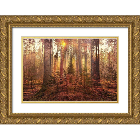 Sanctuary Gold Ornate Wood Framed Art Print with Double Matting by Brown, Denise