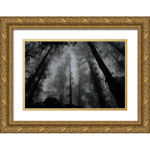 Trees and Clouds 2 Gold Ornate Wood Framed Art Print with Double Matting by Brown, Denise
