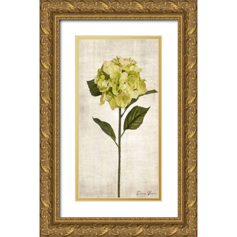 Stem 2 Gold Ornate Wood Framed Art Print with Double Matting by Brown, Denise