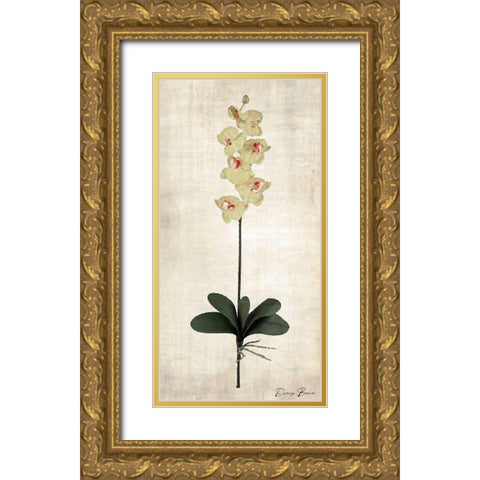 Stem 3 Gold Ornate Wood Framed Art Print with Double Matting by Brown, Denise