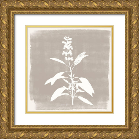 Sophisticated Floral 3 Gold Ornate Wood Framed Art Print with Double Matting by Brown, Denise