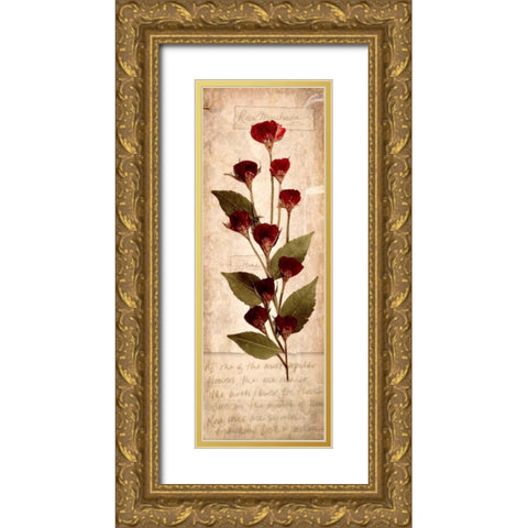 June Rose 1 Gold Ornate Wood Framed Art Print with Double Matting by Stimson, Diane