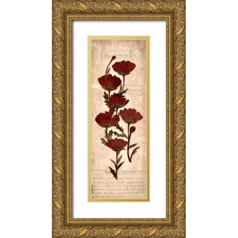 August Poppy Gold Ornate Wood Framed Art Print with Double Matting by Stimson, Diane